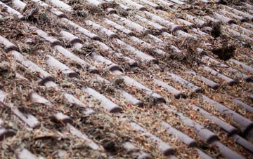 Orton Malborne roof cleaning companies