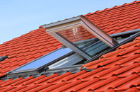 Orton Malborne roof window